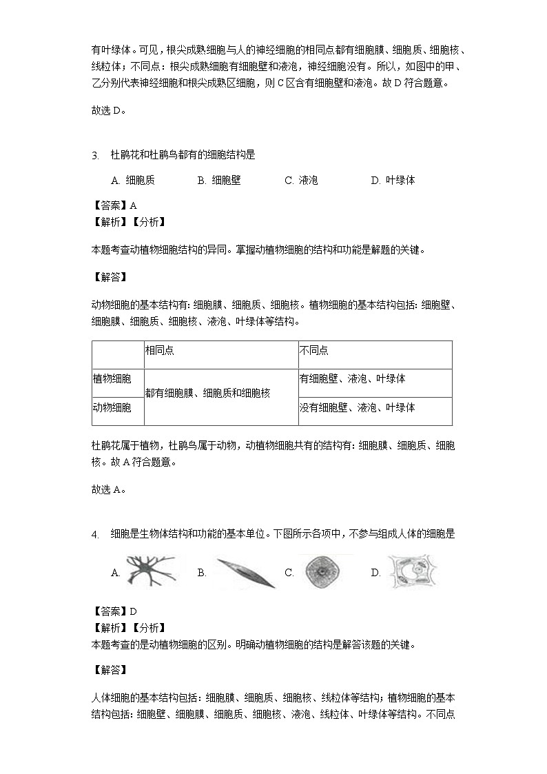 人教版七年级生物上册2.1.3 动物细胞练习（含解析）教师用卷02