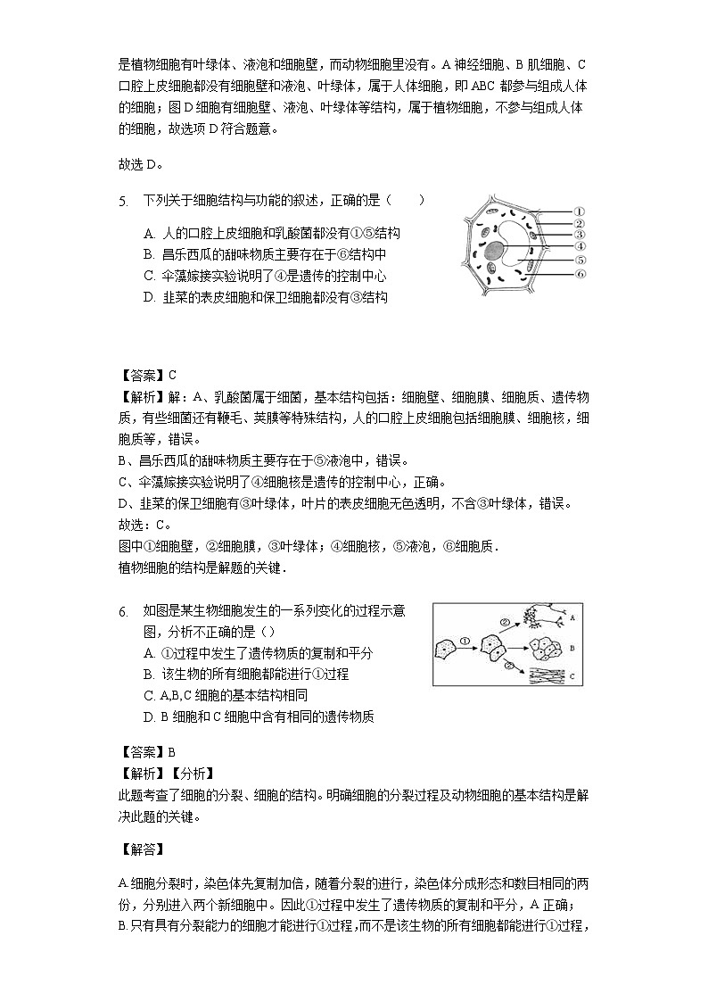 人教版七年级生物上册2.1.3 动物细胞练习（含解析）教师用卷03