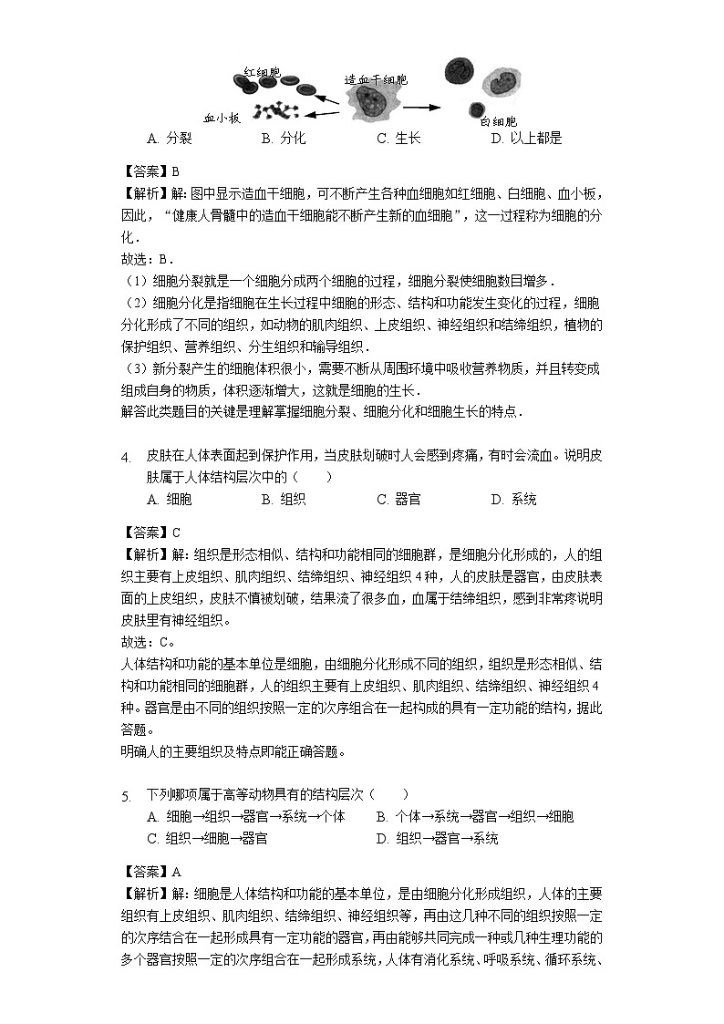 人教版七年级生物上册2.2.2动物体的结构层次练习（含解析）教师用卷02