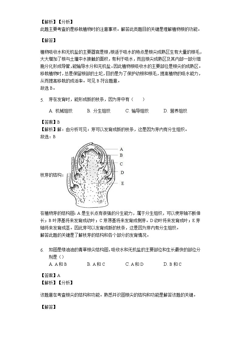 人教版七年级生物上册3.2.2 植株的生长练习（含解析）教师用卷第3页