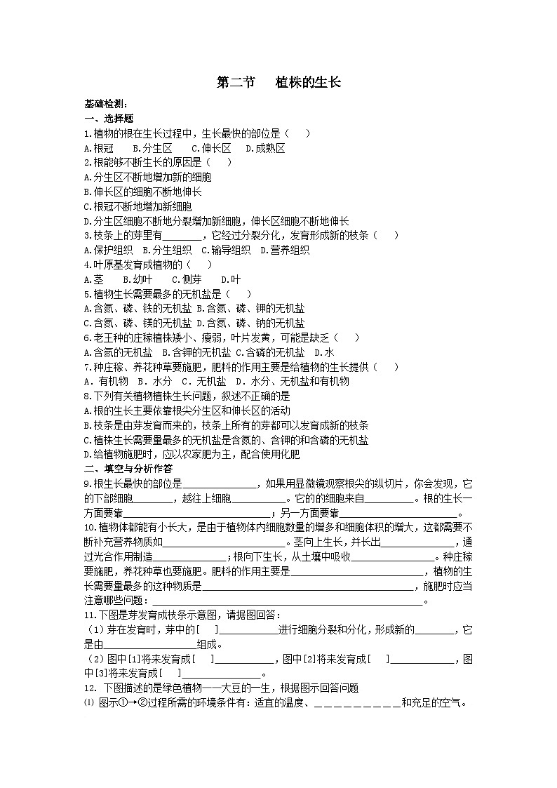 人教版七年级生物上册3.2.2植株的生长课时训练01
