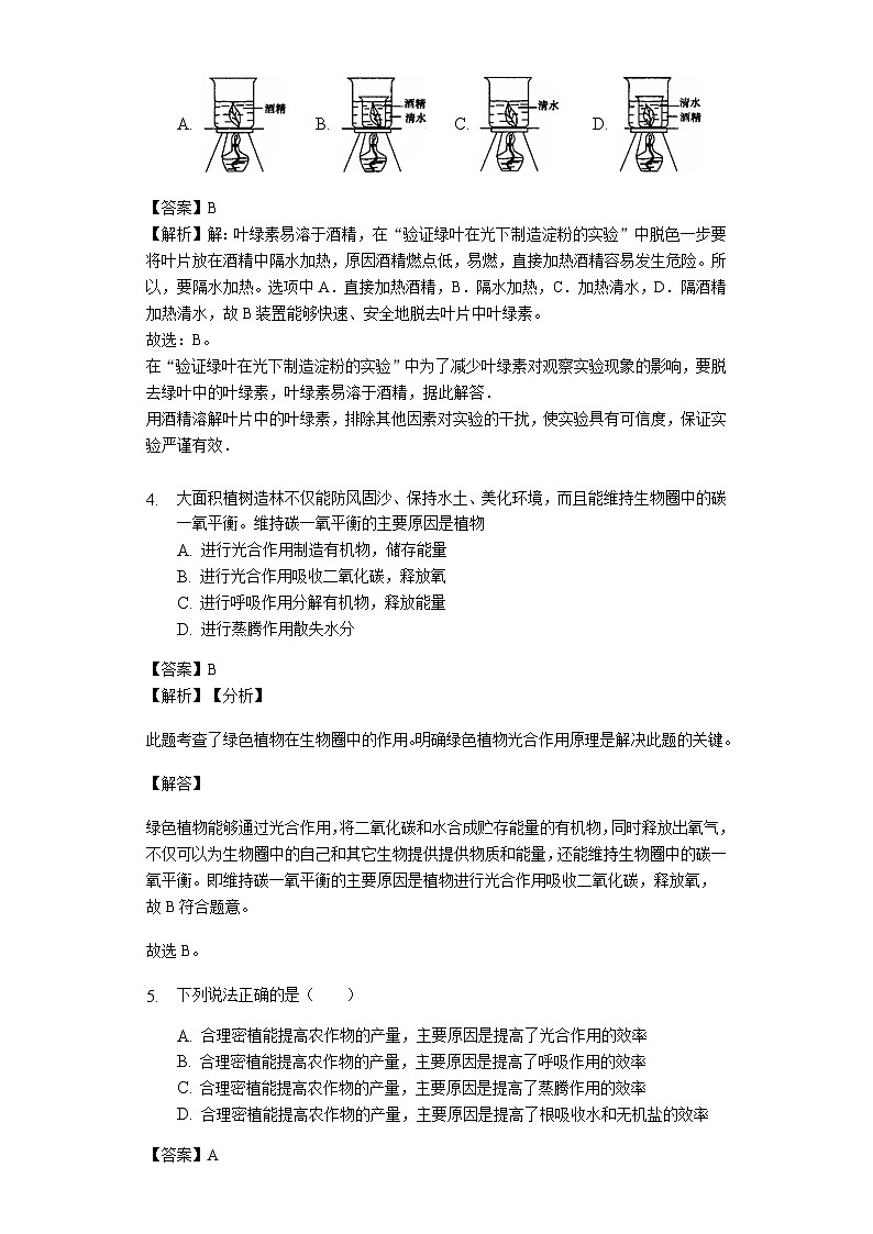 人教版七年级生物上册3.4绿色植物是生物圈中有机物的制造者练习（含解析）第2页