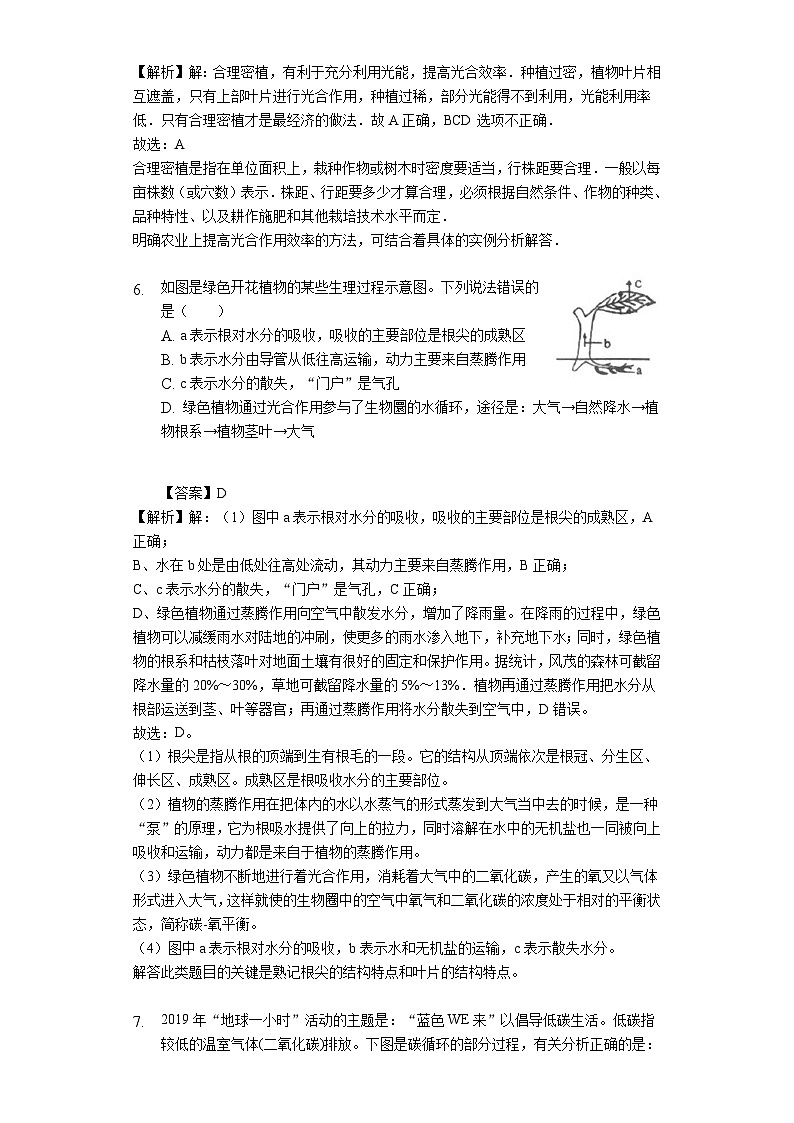 人教版七年级生物上册3.4绿色植物是生物圈中有机物的制造者练习（含解析）第3页