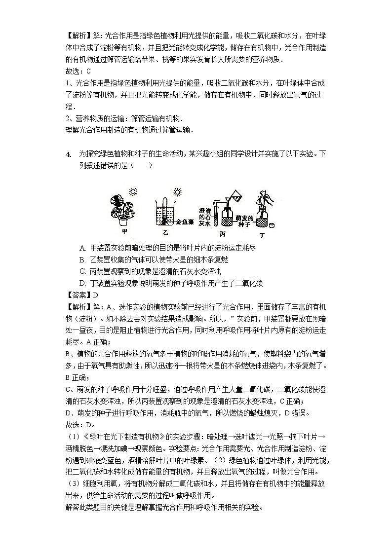 人教版七年级生物上册3.5.1光合作用吸收二氧化碳释放氧气练习（含解析）第2页