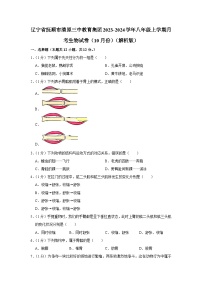 辽宁省抚顺市清原三中教育集团2023-2024学年八年级上学期10月份月考生物试卷+