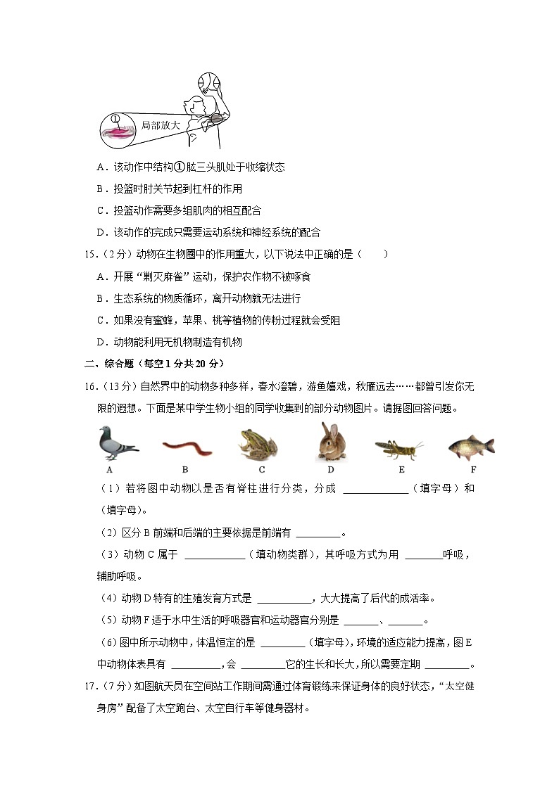 内蒙古巴彦淖尔市杭锦后旗陕坝中学2023-2024学年八年级上学期第一次月考生物试卷03