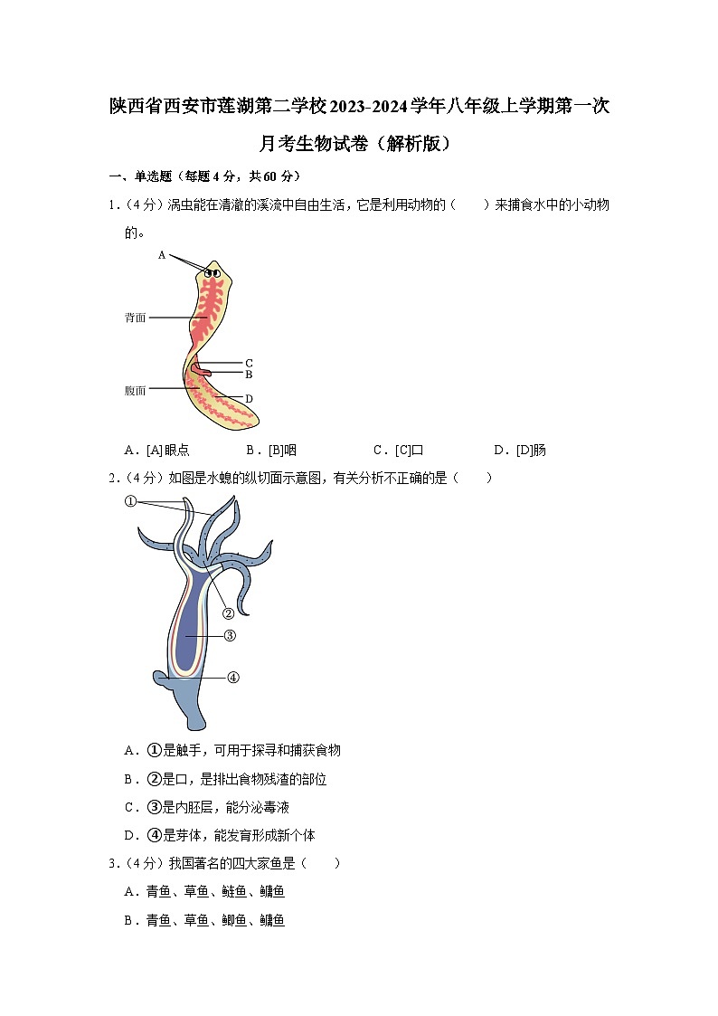 陕西省西安市莲湖第二学校2023-2024学年八年级上学期第一次月考生物试卷+第1页
