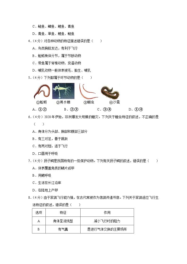 陕西省西安市莲湖第二学校2023-2024学年八年级上学期第一次月考生物试卷+第2页