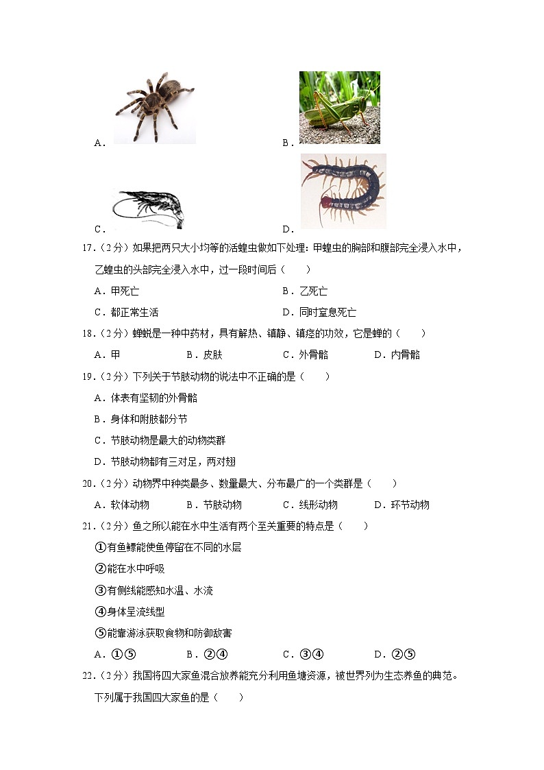 云南省昭通市昭阳一中2023-2024学年八年级上学期10月份月考生物试卷+第3页