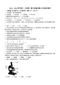 吉林省长春市朝阳区2023-2024学年七年级上学期期中生物试题