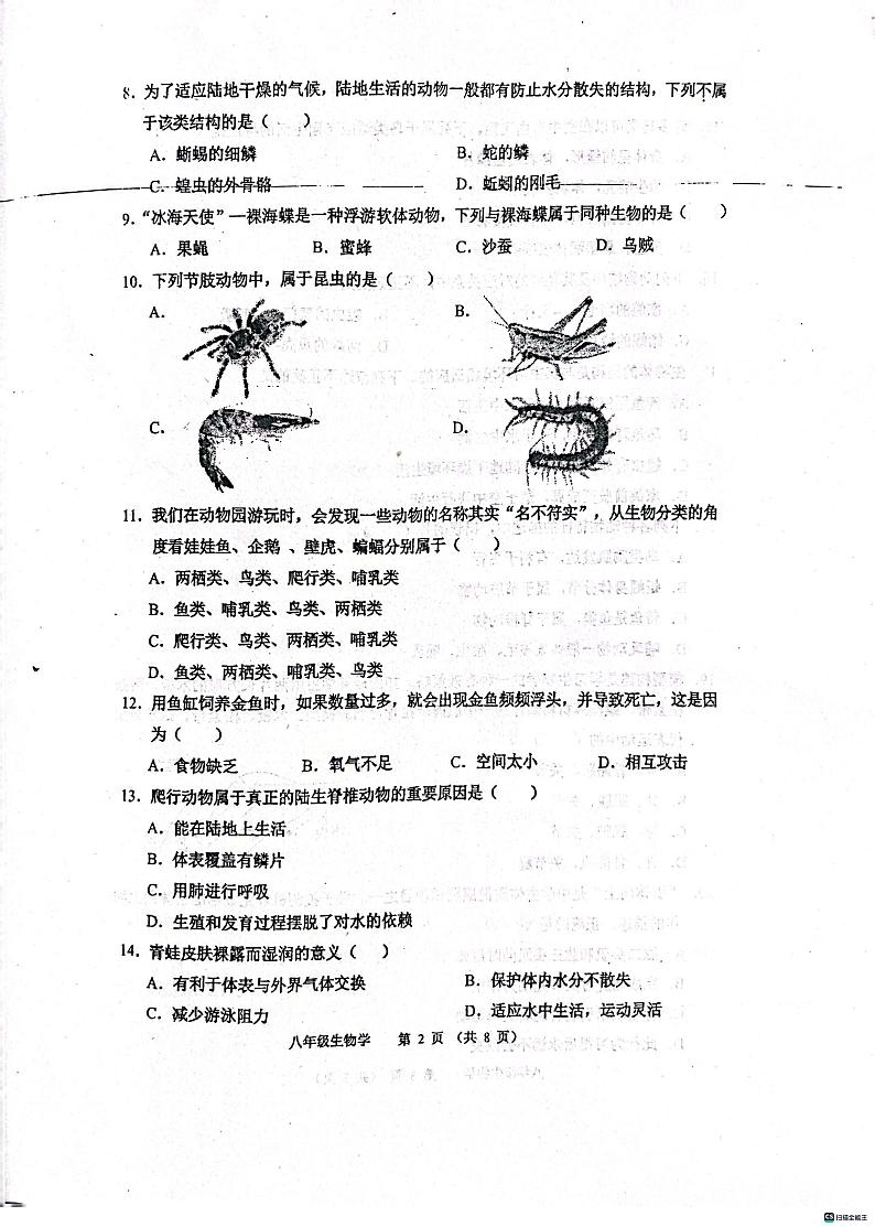 天津市河西区2023-2024学年八年级上学期11月期中生物试题第2页