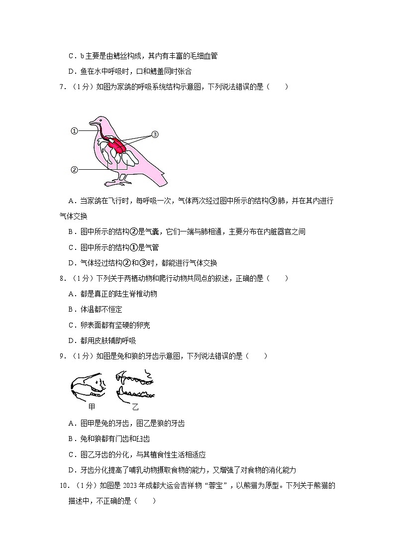 吉林省长春市农安县2023-2024学年八年级上学期期中生物试卷第2页