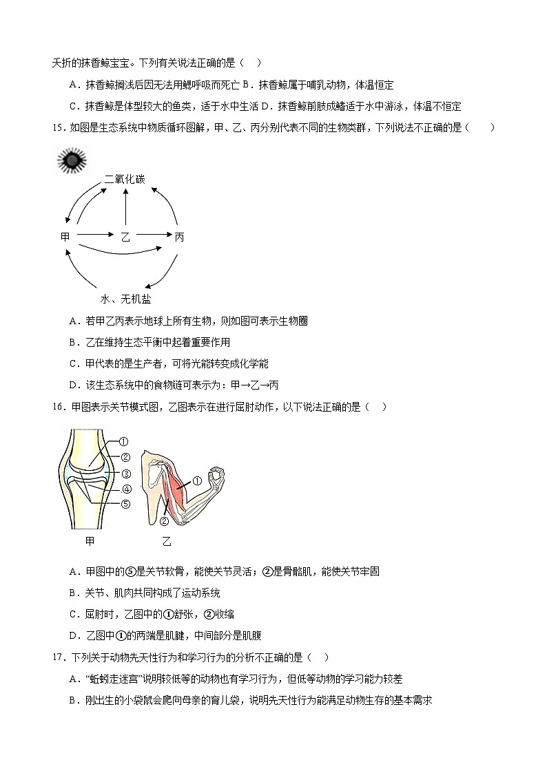 河南省南阳市淅川县县高附中集团2023-2024学年八年级上学期10月月考联考生物试题第3页