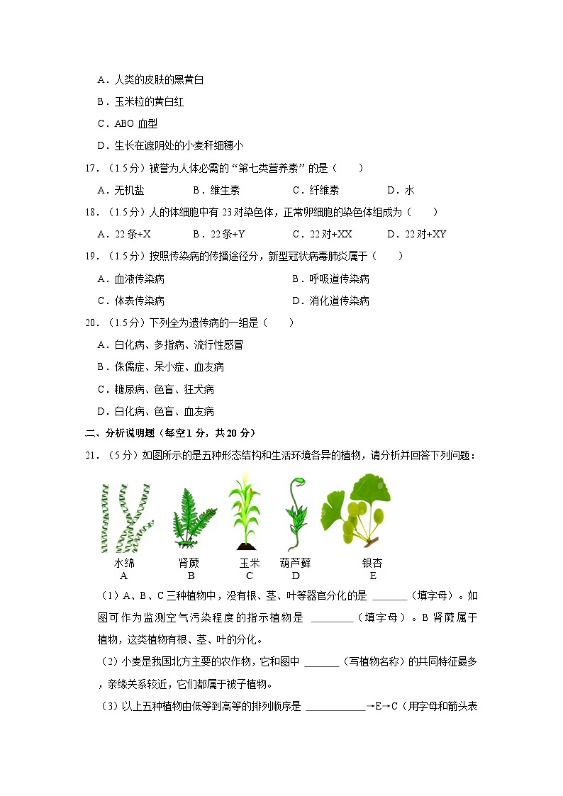 甘肃省陇南市礼县六中2023-2024学年九年级上学期第二次月考生物试卷03