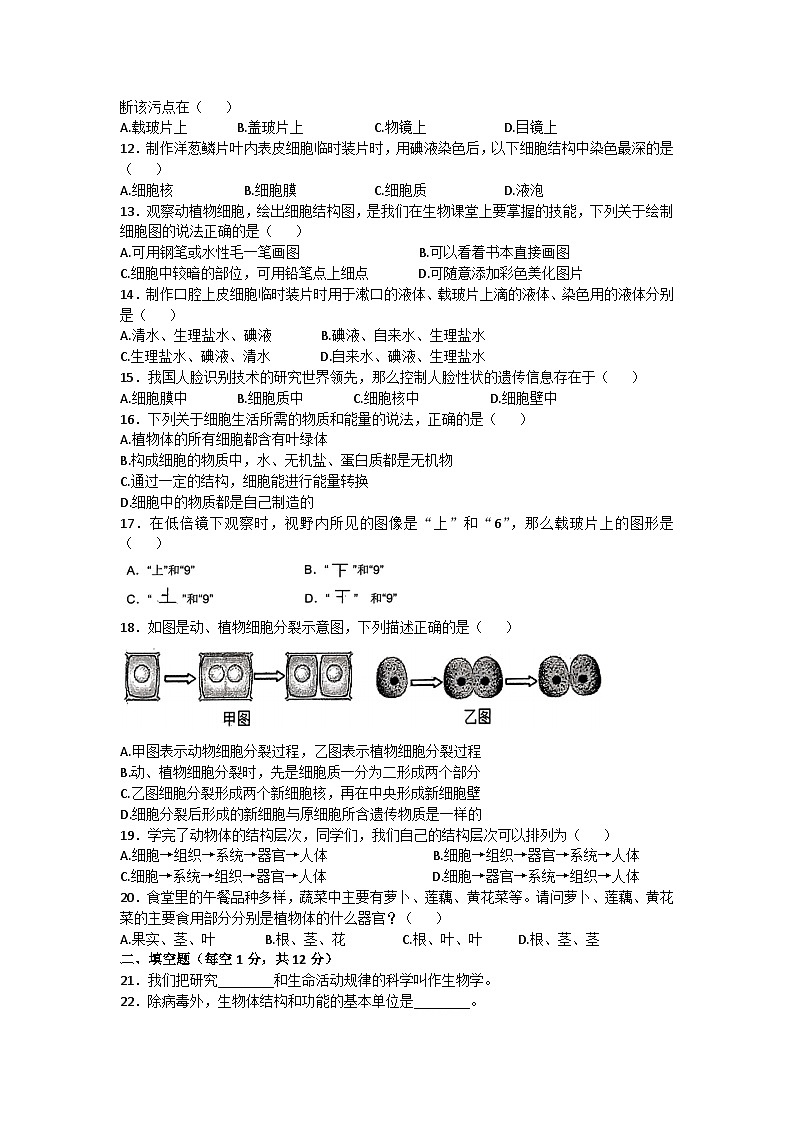 甘肃省定西市安定区等2地2023-2024学年七年级上学期期中生物试题02