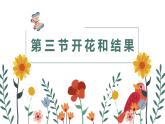 3.2.3 开花和结果 课件-2023-2024学年人教版生物七年级上册
