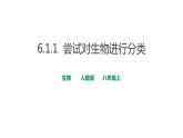 2023-2024学年人教版生物八年级上册6.1.1  尝试对生物进行分类  课件
