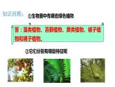 2023-2024学年人教版生物八年级上册6.1.1  尝试对生物进行分类  课件