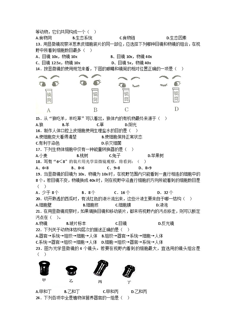 2023-2024学年甘肃省陇南市康县阳坝镇初级中学七年级（上）期中考试生物试卷（word版含答案）02