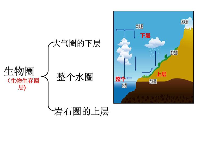 1.1.2生物的生活环境课件2023--2024学年济南版生物七年级上册03