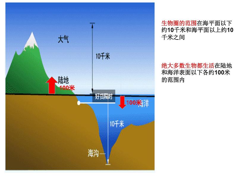 1.1.2生物的生活环境课件2023--2024学年济南版生物七年级上册04