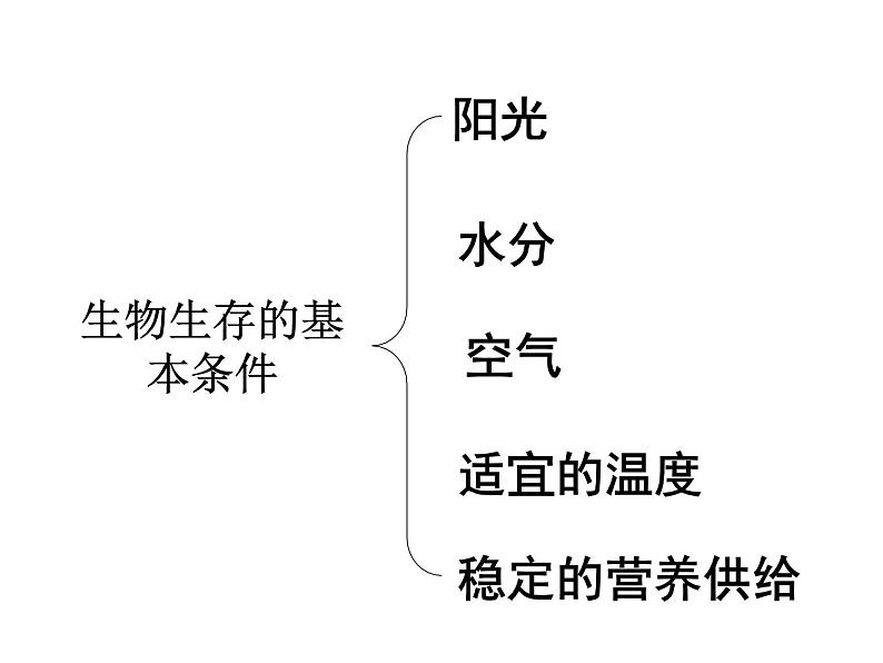 1.1.2生物的生活环境课件2023--2024学年济南版生物七年级上册07