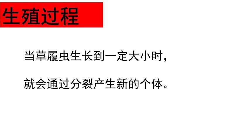 2.2.4  单细胞生物  课件2023-2024学年人教版生物七年级上册08