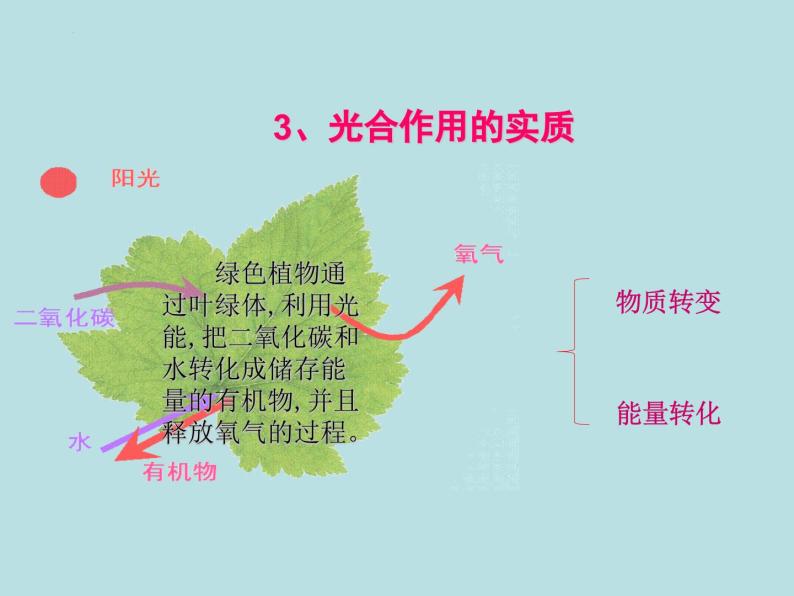 2.1.3绿色植物的光合作用(第二课时)课件2023--2024学年济南版生物七年级上册05