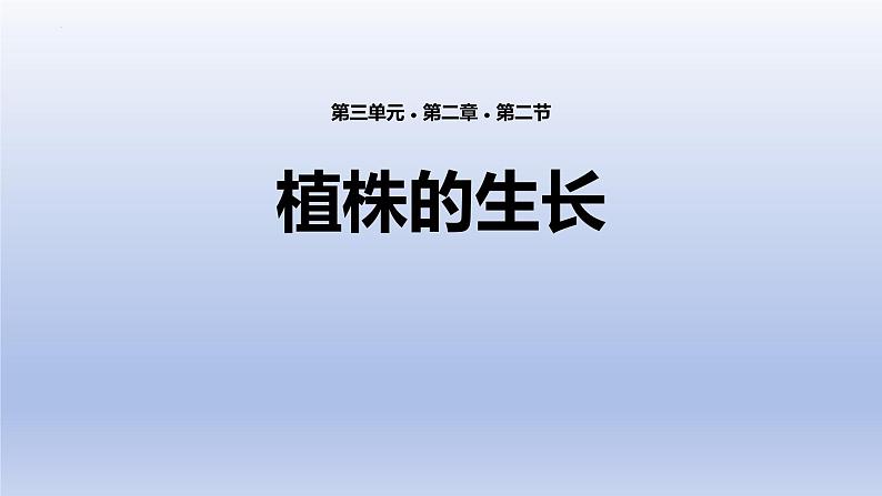 3.2.2  植株的生长  课件-2023-2024学年人教版生物七年级上册第1页