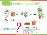 3.5.1 光合作用吸收二氧化碳释放氧气 - 2023-2024学年七年级上册生物同步课件（人教版）