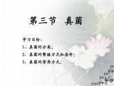 4.3 真菌课件2023--2024学年人教版生物八年级上册