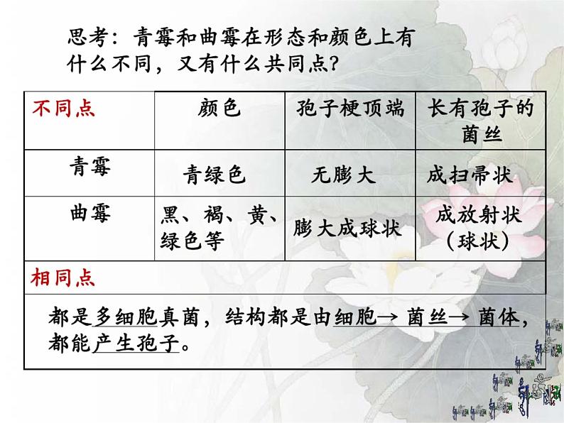 4.3 真菌课件2023--2024学年人教版生物八年级上册第8页