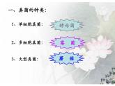 4.3 真菌课件2023--2024学年人教版生物八年级上册