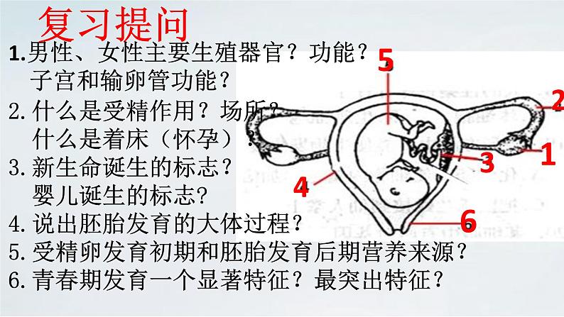 4.4.1 遗传的物质基础课件济南版生物八年级上册01