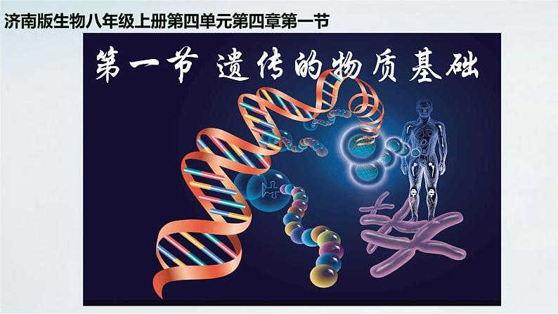 4.4.1 遗传的物质基础课件济南版生物八年级上册02