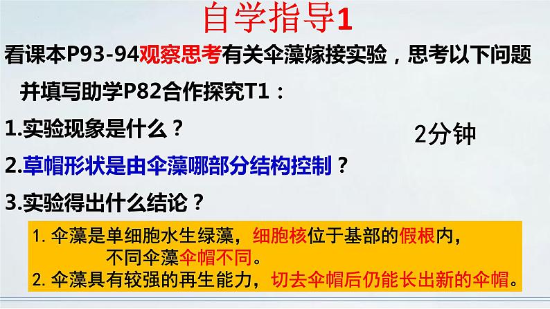 4.4.1 遗传的物质基础课件济南版生物八年级上册05