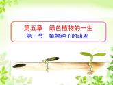 5.1 植物种子的萌发 课件-2023-2024学年苏教版生物七年级上册