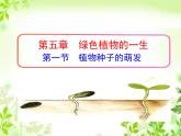 5.1 植物种子的萌发 课件-2023-2024学年苏教版生物七年级上册