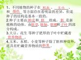 5.1 植物种子的萌发 课件-2023-2024学年苏教版生物七年级上册