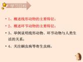 5.1.2  线形动物和环节动物  课件-2023-2024学年人教版生物八年级上册