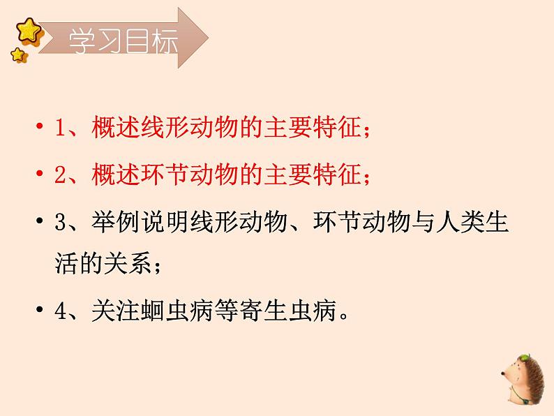 5.1.2  线形动物和环节动物  课件-2023-2024学年人教版生物八年级上册02