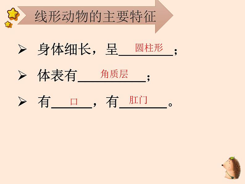 5.1.2  线形动物和环节动物  课件-2023-2024学年人教版生物八年级上册08