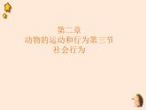 5.2.3  社会行为 课件 2023-2024学年人教版生物八年级上册