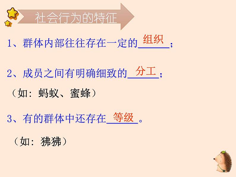 5.2.3  社会行为 课件 2023-2024学年人教版生物八年级上册08