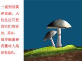 5.4.5人类对细菌和真菌的利用课件2023--2024学年人教版生物八年级上册