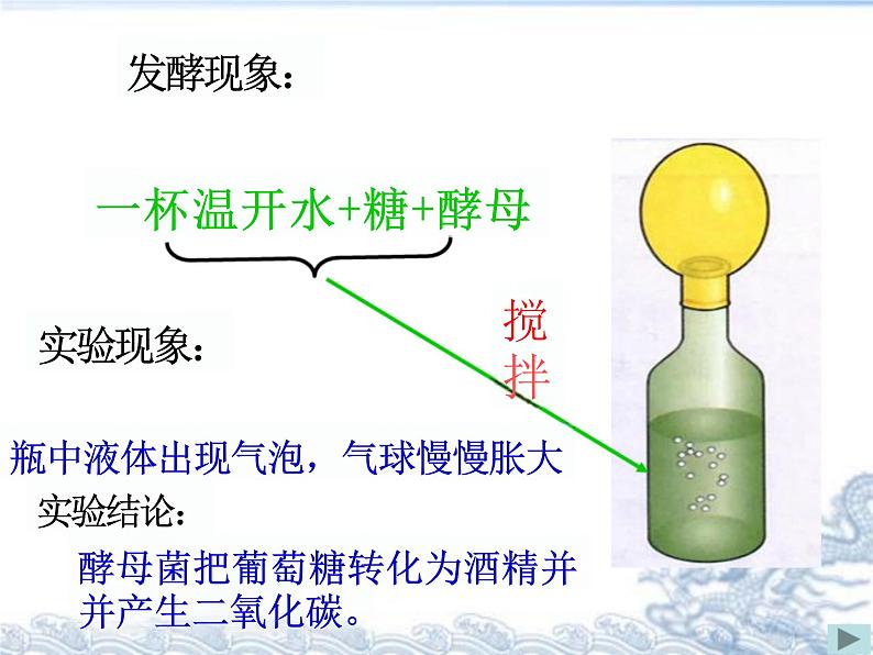 5.4.5人类对细菌和真菌的利用课件2023--2024学年人教版生物八年级上册第7页