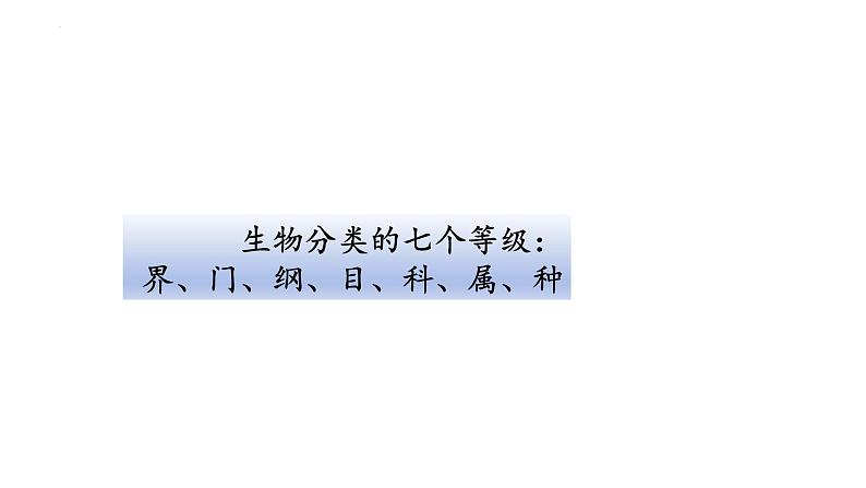 6.1.2  从种到界  课件-2023-2024学年人教版生物八年级上册04