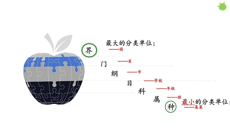 6.1.2  从种到界  课件-2023-2024学年人教版生物八年级上册05