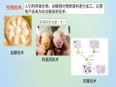 9.25.1发酵技术 课件 北师大版生物八年级下册