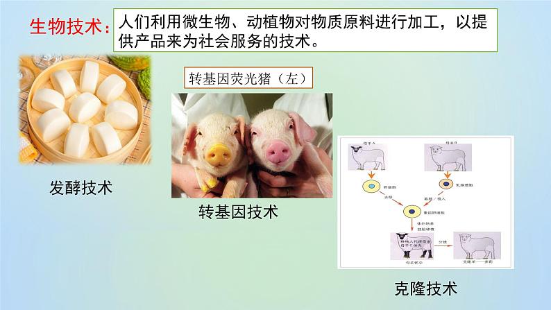 9.25.1发酵技术 课件 北师大版生物八年级下册01